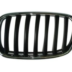 2007-2013 BMW X5 Grille Driver Side Chrome/black